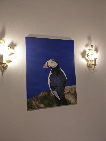 puffin canvas on wall