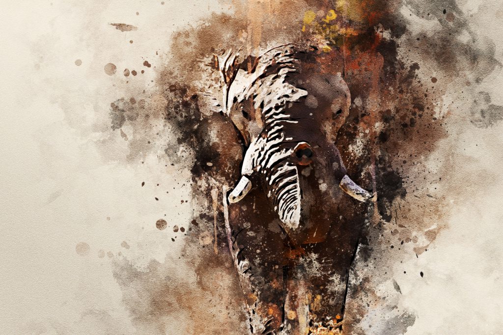 Elephant watercolour effect canvas art print – Elephant abstract art –  colourful Elephant canvas print – Alan Hill Art