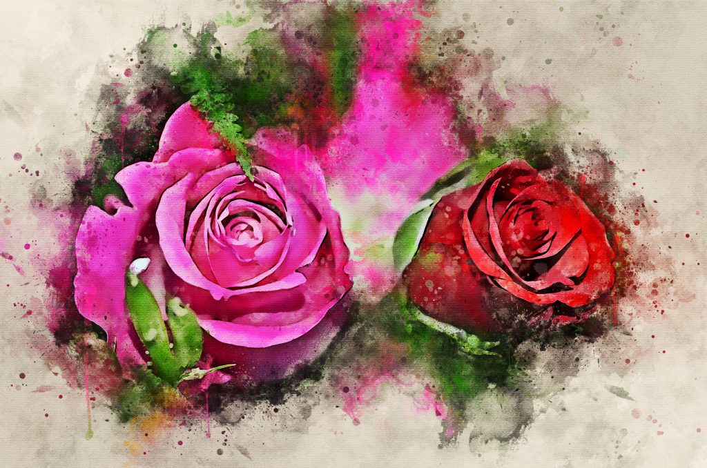 Mother’s Day canvas art print – red and pink rose – Alan Hill Art
