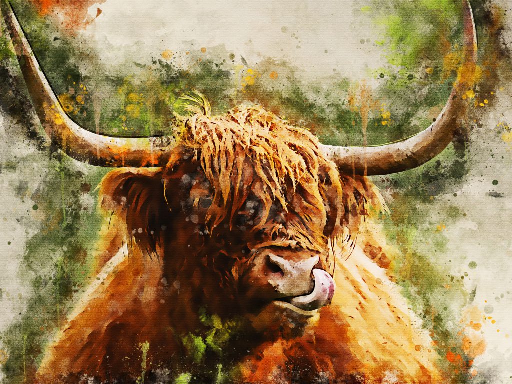 Cow sales canvas print
