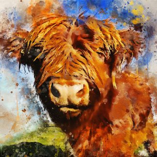 New for 2022 – highland cow canvas print – close up