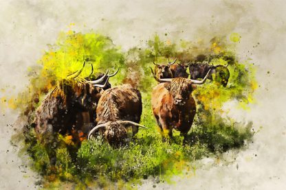 New for 2022 – highland cow canvas print – we herd you