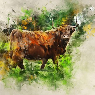 New for 2022 – highland cow canvas print – who me