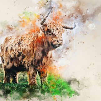 New for 2022 – highland cow canvas print – majestic