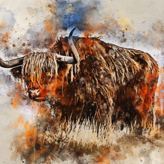 New for 2022 – highland cow canvas print – powerful and strong