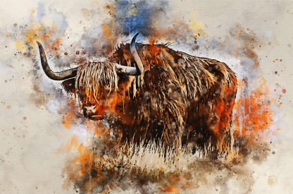 New for 2022 – highland cow canvas print – powerful and strong