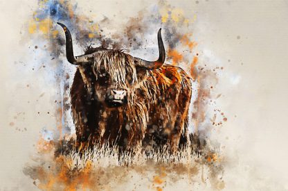 New for 2022 – highland cow canvas print – inquisitive