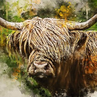 New for 2022 – highland cow canvas print – peek a boo