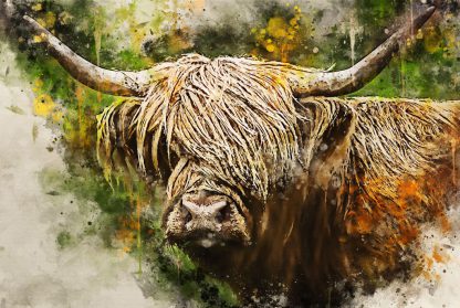 New for 2022 – highland cow canvas print – peek a boo