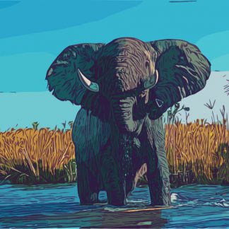 Stunning elephant colourful canvas print