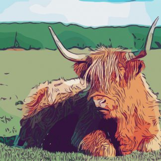 Highland cow colourful canvas print