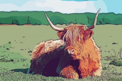 Highland cow colourful canvas print