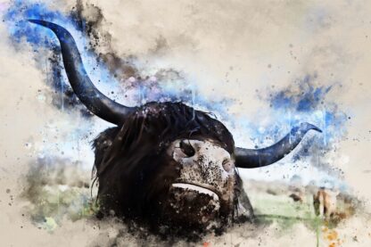 Canvas print, highland cows (from calendar - January 23) stunning digital art in a range of sizes