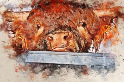 Canvas print, highland cows (from calendar - April 23) stunning digital art in a range of sizes