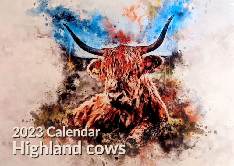 2023 Highland Cow wall calendar Alan Hill Art 2023 Highland Cow wall calendar Alan Hill Art