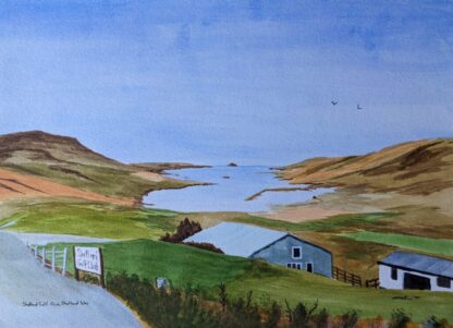 Shetland golf club