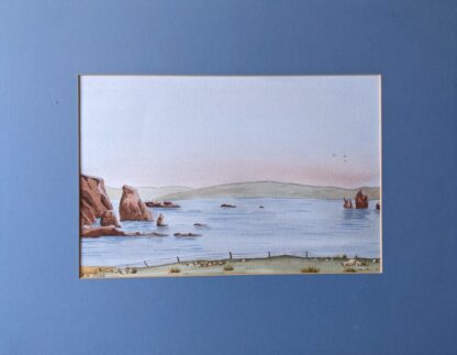 The Drongs, Shetland Islands