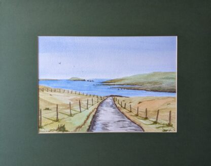 Shetland Country lane
